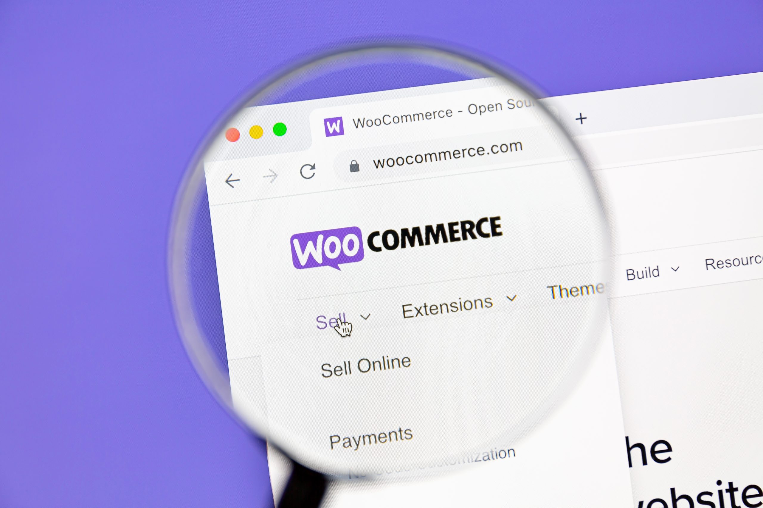 Store Owner's Guide - WooCommerce