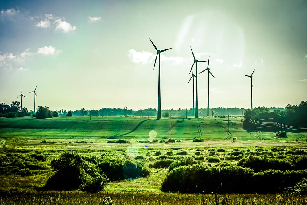 Green manufacturing achieved with windfarms in an open green field.