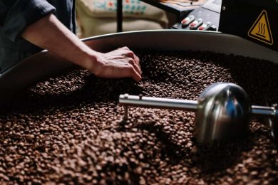A worker conducting quality control of roasted coffee beans.