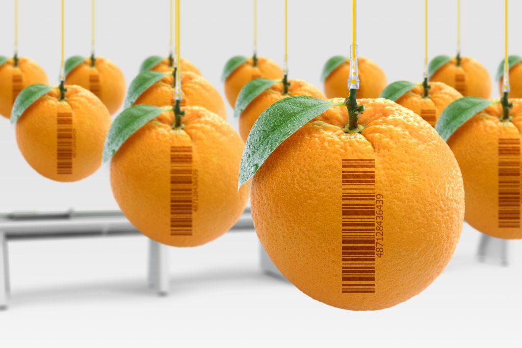 Oranges with barcodes hanging from a ceiling