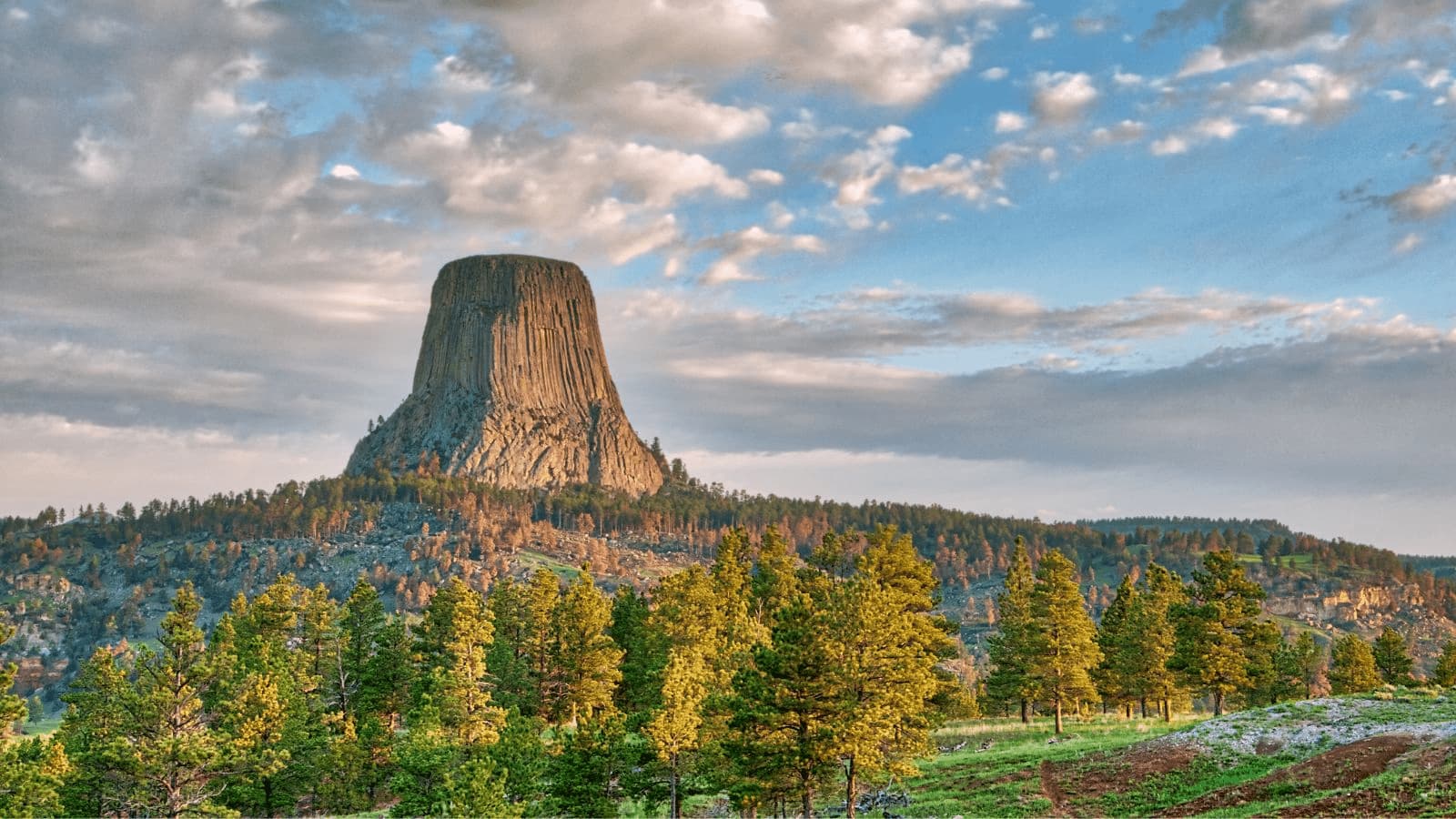 Landscape photo of forests and the famous Devils Tower.