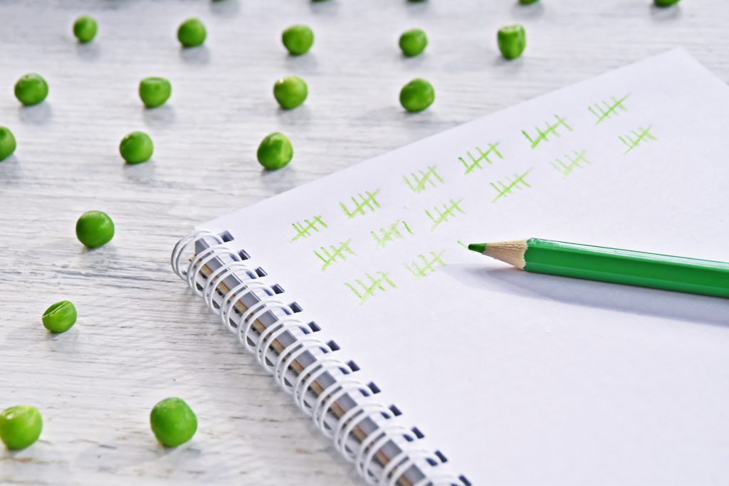 Peas arranged on a table next to a notebook.